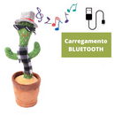 Cacto que dança e imita a voz CactyCool