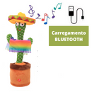 Cacto que dança e imita a voz CactyCool