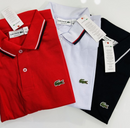 Kit 6 Camisas Polo Lacoste Petit Piquet Original (Importada do Outlet dos EUA)