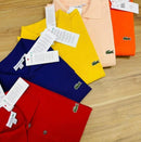 Kit 5 Camisas Polo 2022/2023 - Queima de Estoque + Brinde Exclusivo