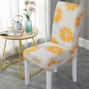 Capa de Cadeira de Jantar Estampadas Resistente a Água - Confy Chair