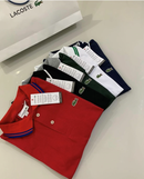 KIT 5 CAMISAS POLO