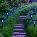 Lâmpada de Led Eliminadora de Mosquitos com Painel Solar - Mosquito Killer