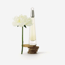 L'eau D'issey Issey Miyake - Perfume Feminino - Eau de Toilette - 50ml