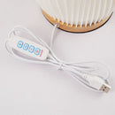 Luminária Abajur de Mesa Espiral Naturale – Design em Madeira e Led